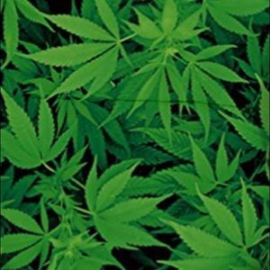 Meet your Posher, Peter